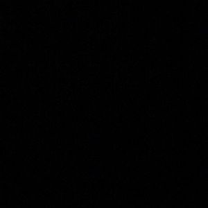 Meet your Posher, Izzy